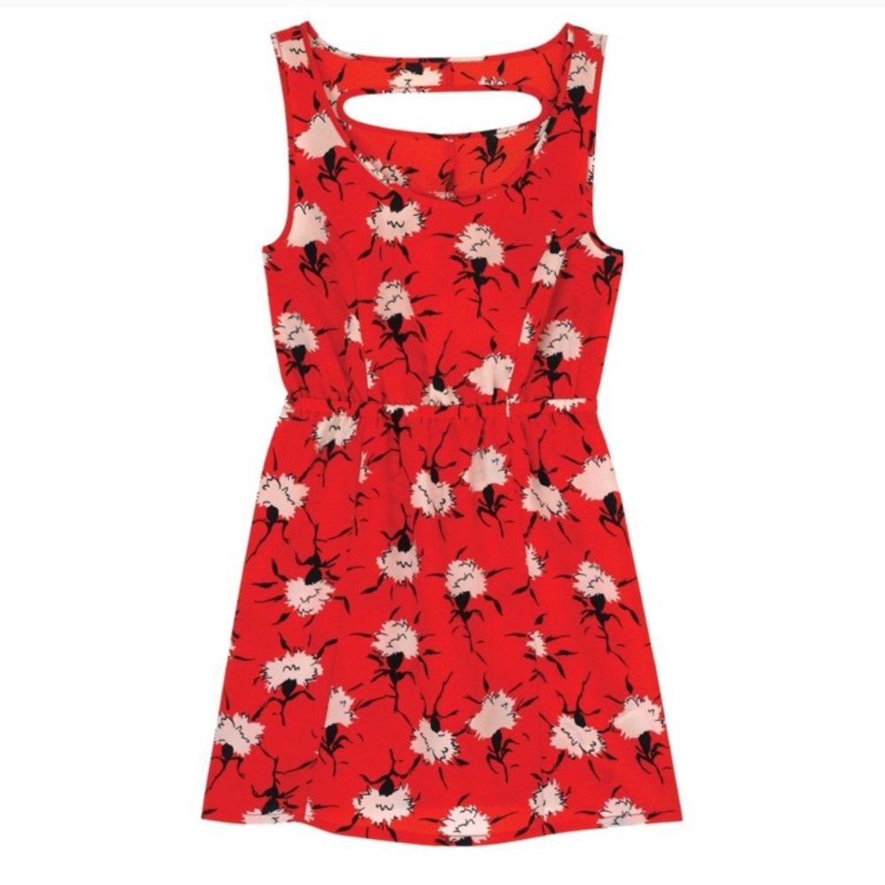 Red and White Dandelion Floral Sundress